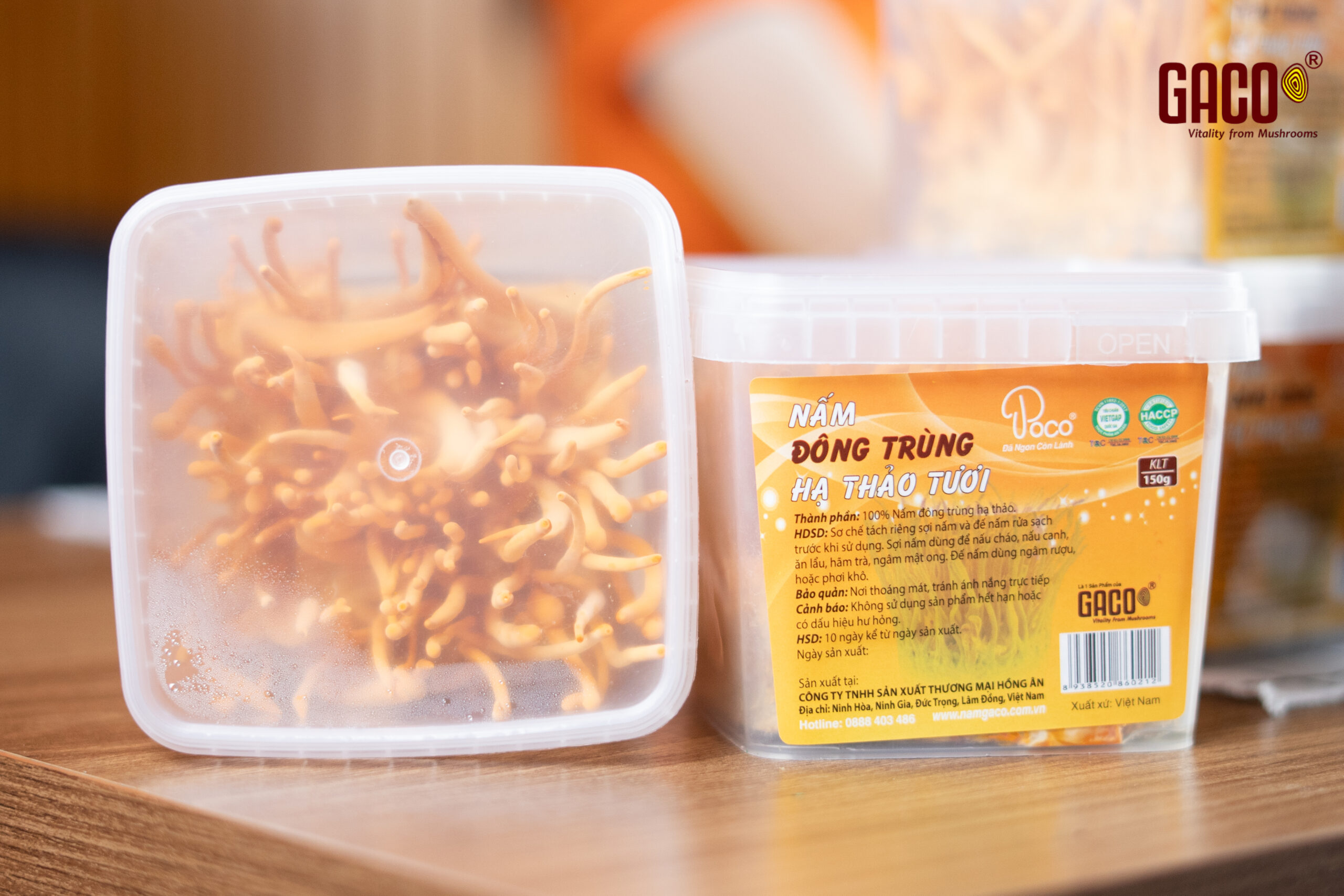 NẤM ĐÔNG TRÙNG HẠ THẢO - Ảnh 3