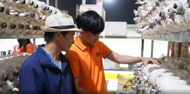 AI, CẢM BIẾN VÀ ROBOT: TƯƠNG LAI CỦA MÔ HÌNH “TRANG TRẠI NẤM THÔNG MINH”
