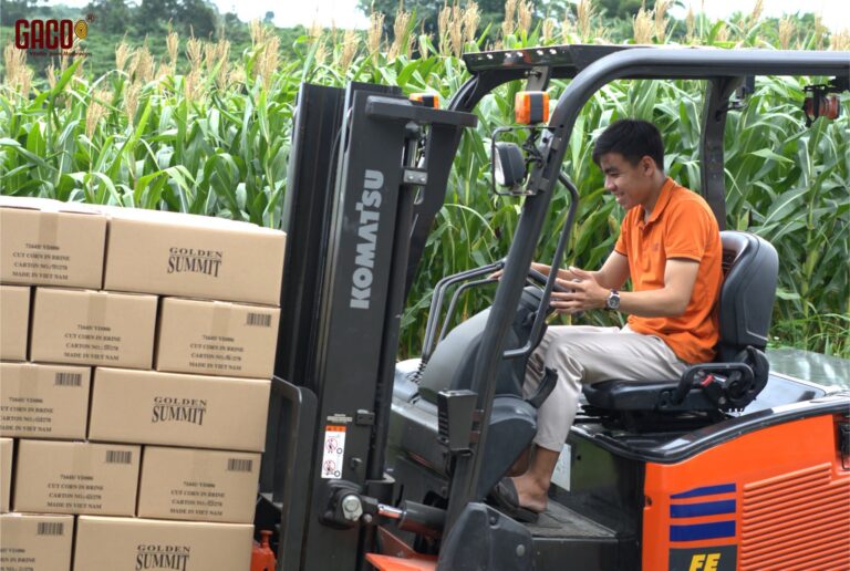 PHÁT TRIỂN BỀN VỮNG TRỞ THÀNH YÊU CẦU MỚI CỦA NGÀNH NẤM